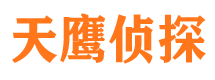 爱民侦探公司